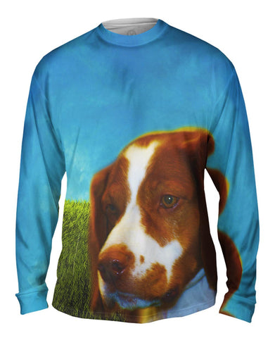 Brave Brown Spaniel