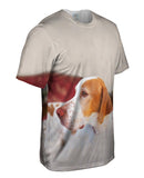 English Pointer Vigilant