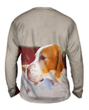 English Pointer Vigilant