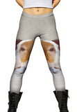 English Pointer Vigilant