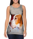 English Pointer Vigilant