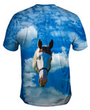 Homely White Horse