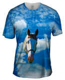 Homely White Horse
