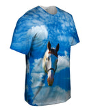 Homely White Horse