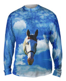 Homely White Horse