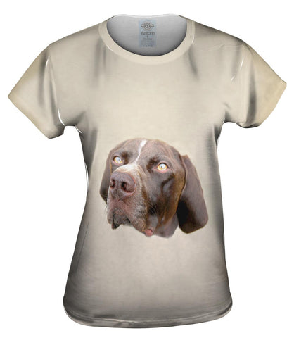 Pretty Eyes English Pointer