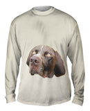 Pretty Eyes English Pointer