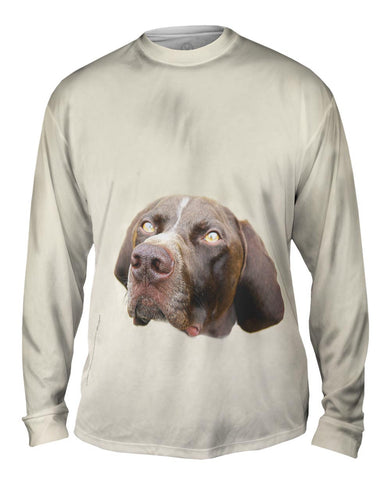 Pretty Eyes English Pointer