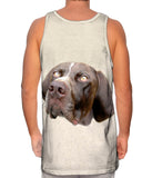 Pretty Eyes English Pointer