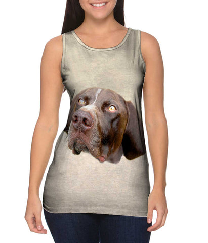 Pretty Eyes English Pointer