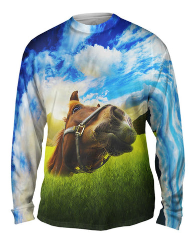 Closeup Horse