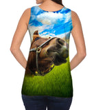 Closeup Horse