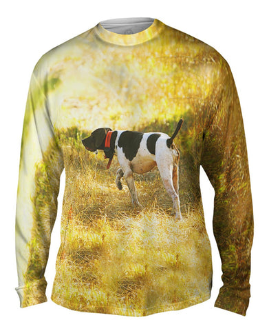 English Pointer Hunting