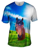 Whisper Horse