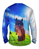Whisper Horse