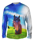 Whisper Horse