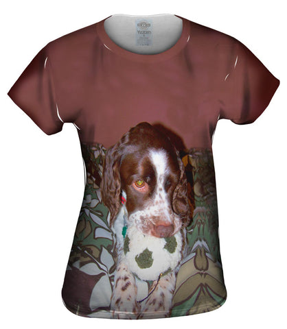 Play Time English Pointer