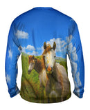 Ireland Horse