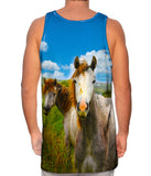 Ireland Horse