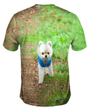 Lollipop Head Pomeranian