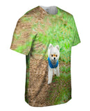Lollipop Head Pomeranian