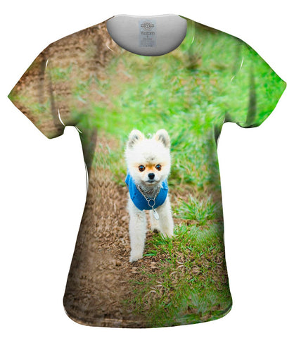 Lollipop Head Pomeranian