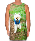 Lollipop Head Pomeranian
