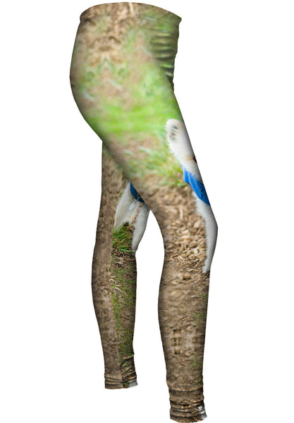 Lollipop Head Pomeranian&nbsp;Womens Leggings