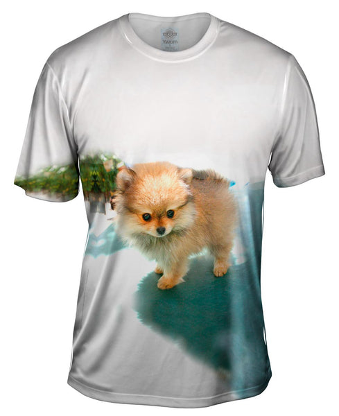 Fluffy Pomeranian Mens T-Shirt