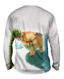 Fluffy Pomeranian