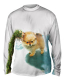Fluffy Pomeranian