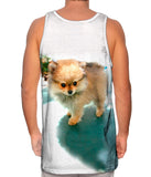 Fluffy Pomeranian