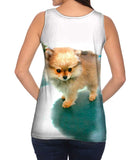 Fluffy Pomeranian