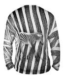 Zebra Crossing
