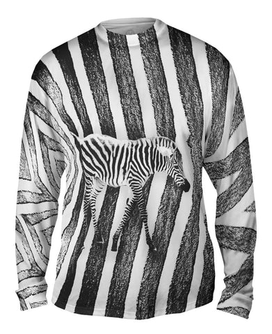 Zebra Crossing