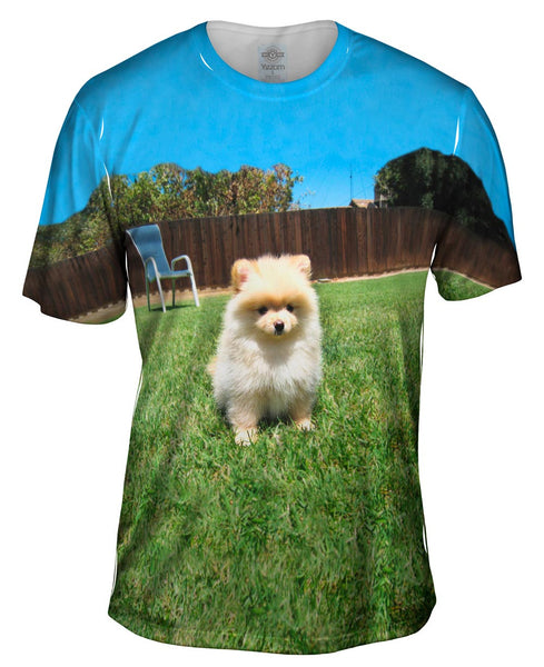 Perfect Backyard Pomeranian Mens T-Shirt