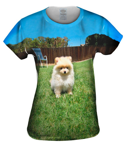 Perfect Backyard Pomeranian
