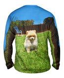 Perfect Backyard Pomeranian