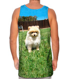 Perfect Backyard Pomeranian