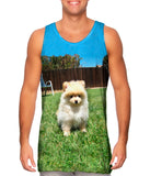 Perfect Backyard Pomeranian