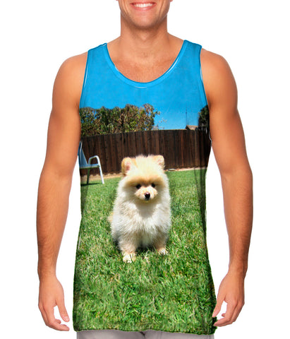 Perfect Backyard Pomeranian