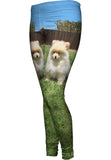 Perfect Backyard Pomeranian