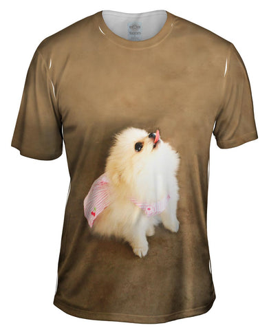 Pomeranian Cherry Cape Superhero
