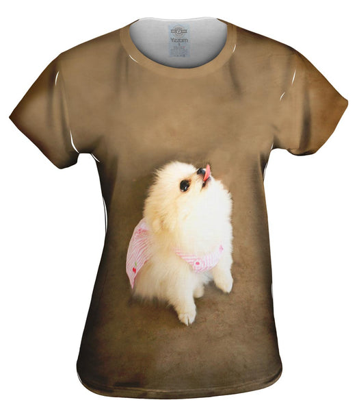 Pomeranian Cherry Cape Superhero Womens Top