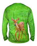 Sure Footed Young Deer
