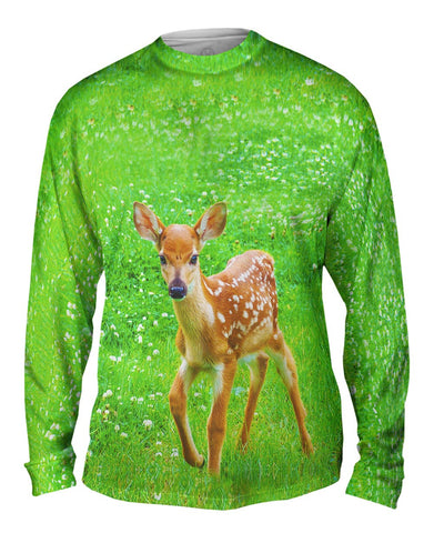 Sure Footed Young Deer