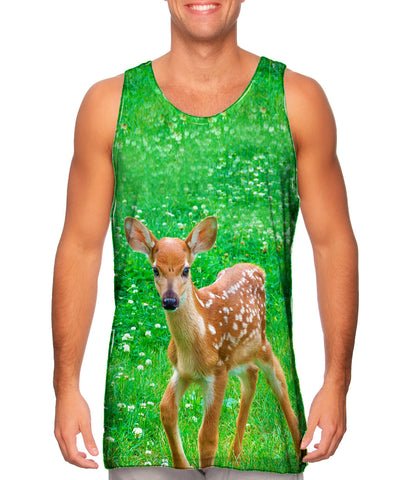 Sure Footed Young Deer