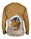 Pomeranian Pirate