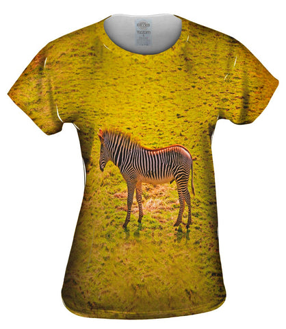 Savannah Zebra
