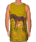 Savannah Zebra